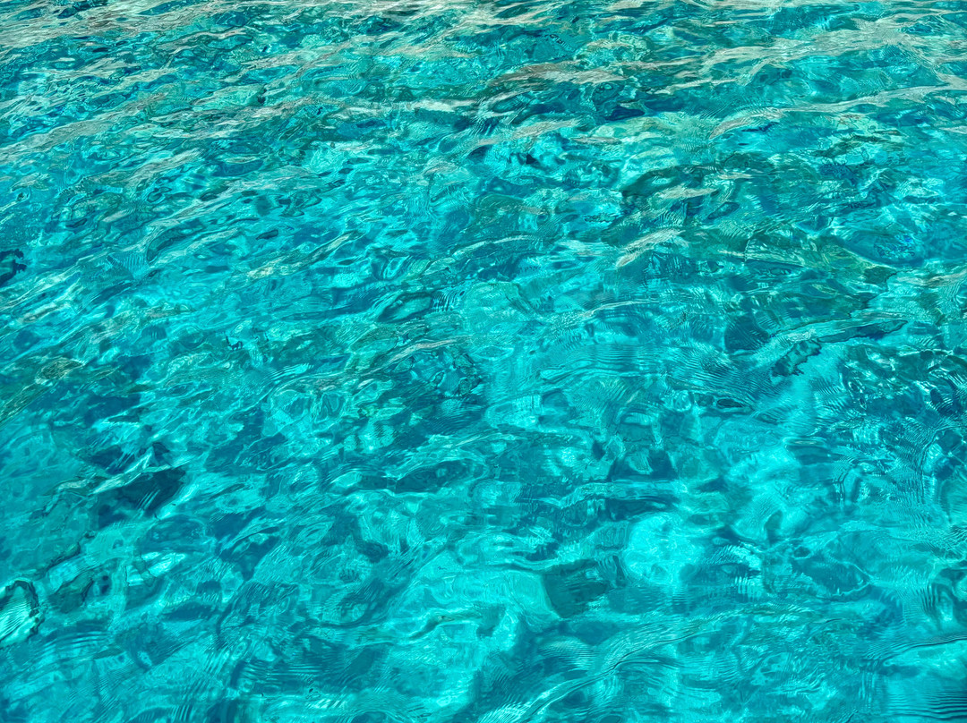 Blue Water Club RENT A BOAT-阿希亚贝拉希亚必去景点