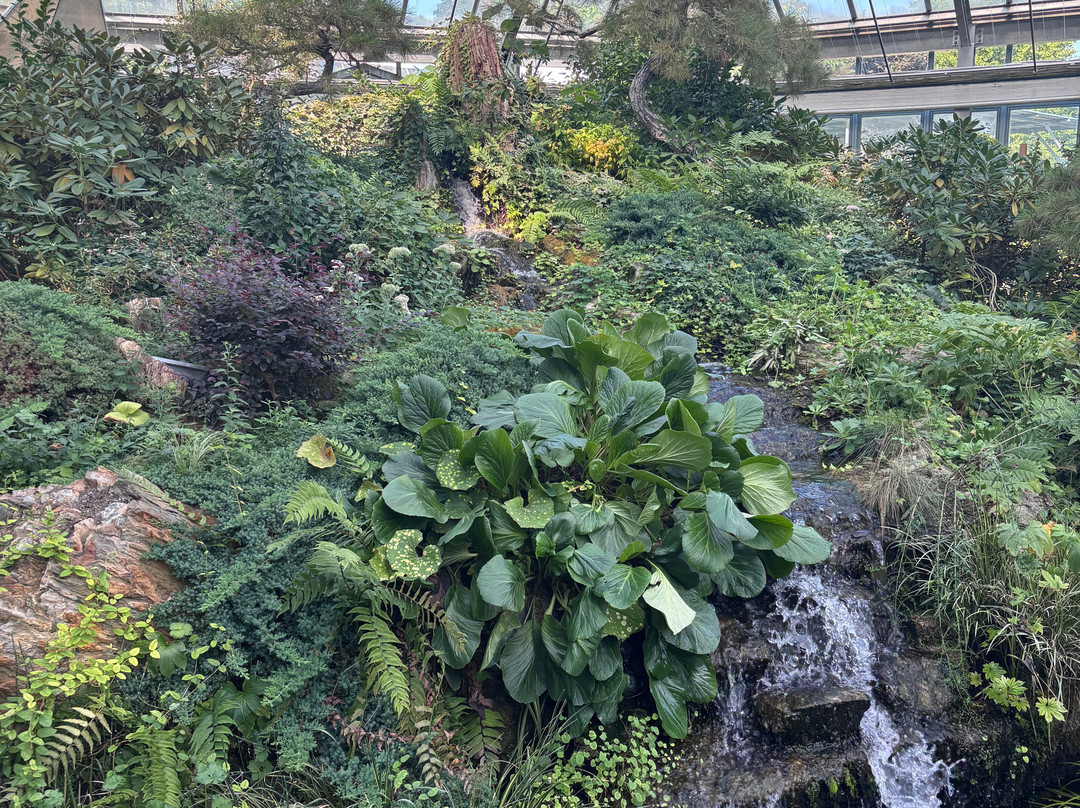 The Garden of Morning Calm-加平郡必去景点