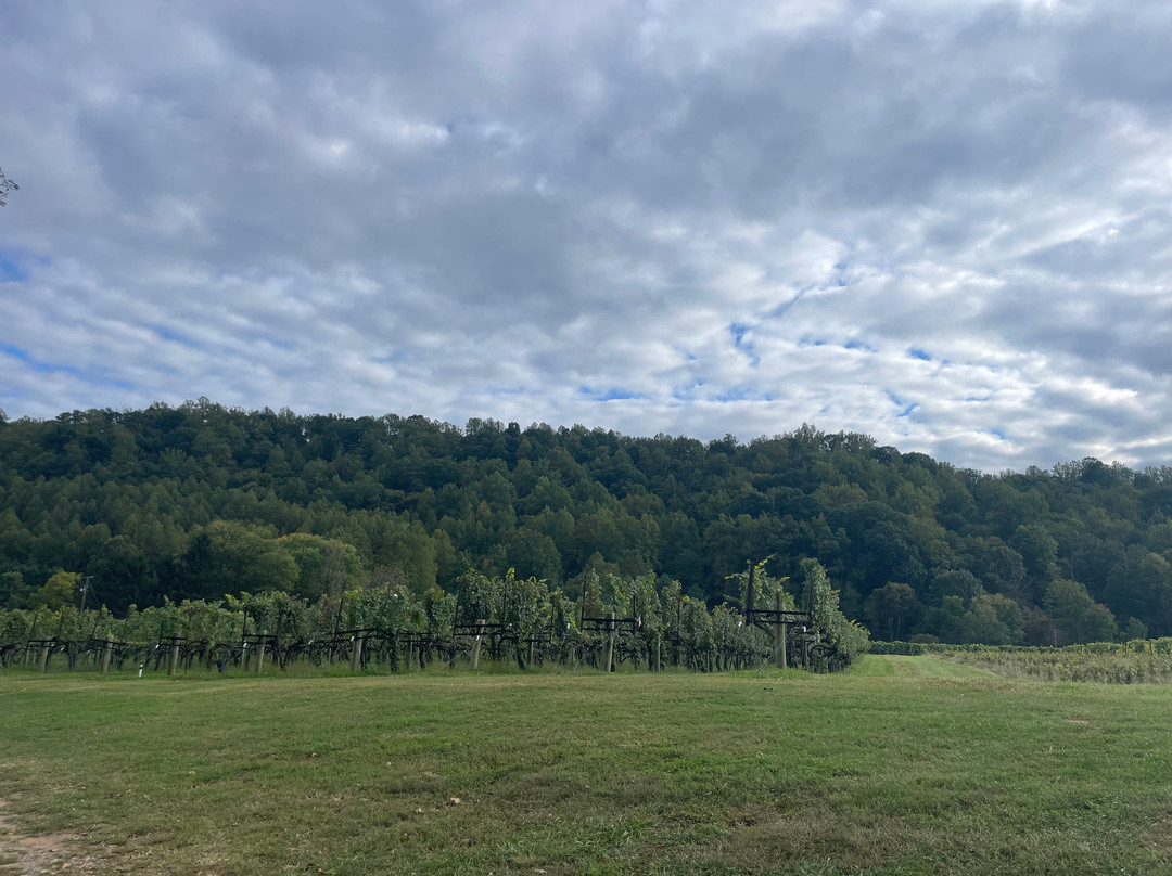 DuCard Vineyards-Etlan必去景点