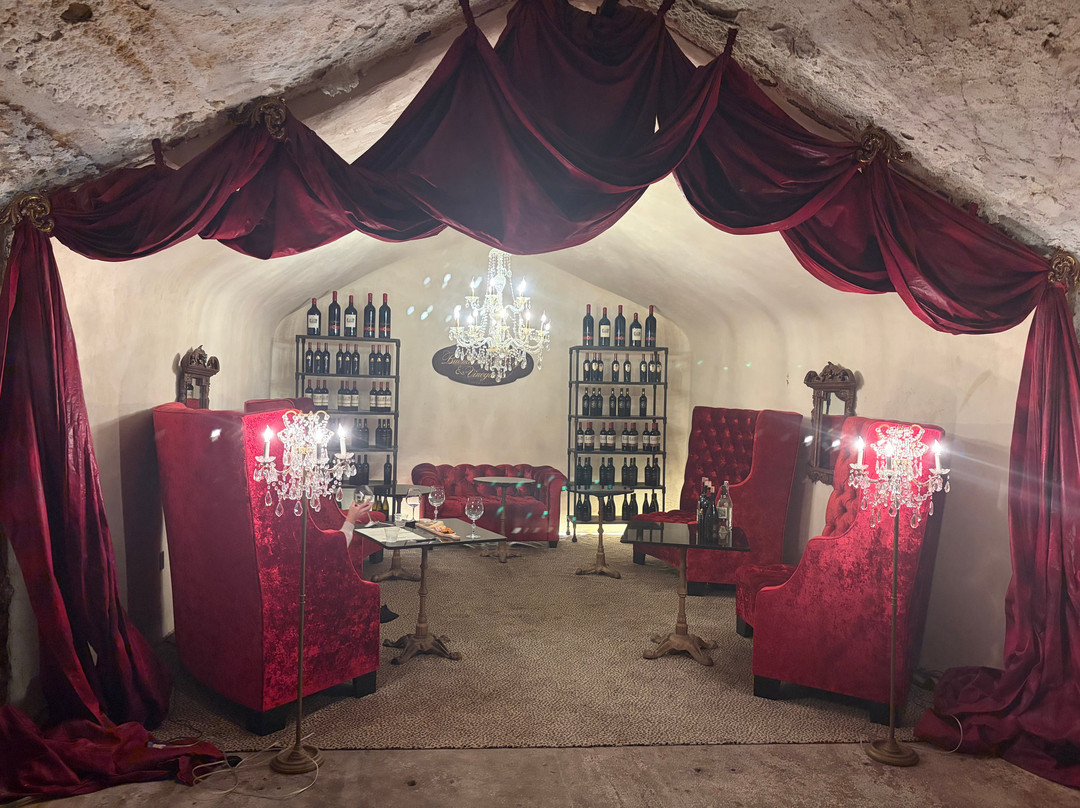Buena Vista Winery-索诺玛必去景点