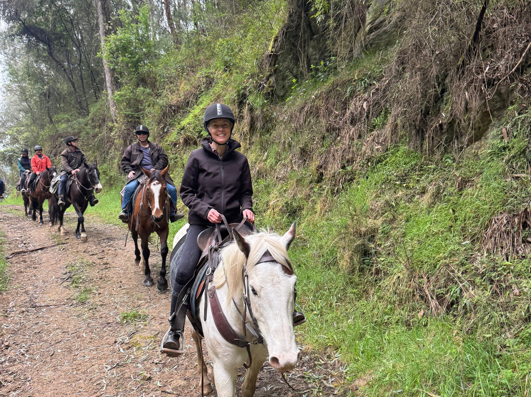 Bogong Horseback Adventures-Tawonga必去景点