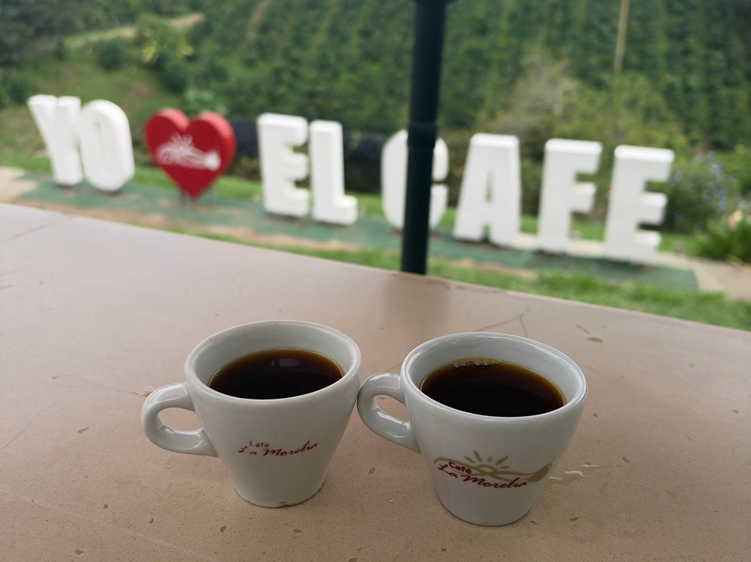 Café La Morelia-El Caimo必去景点