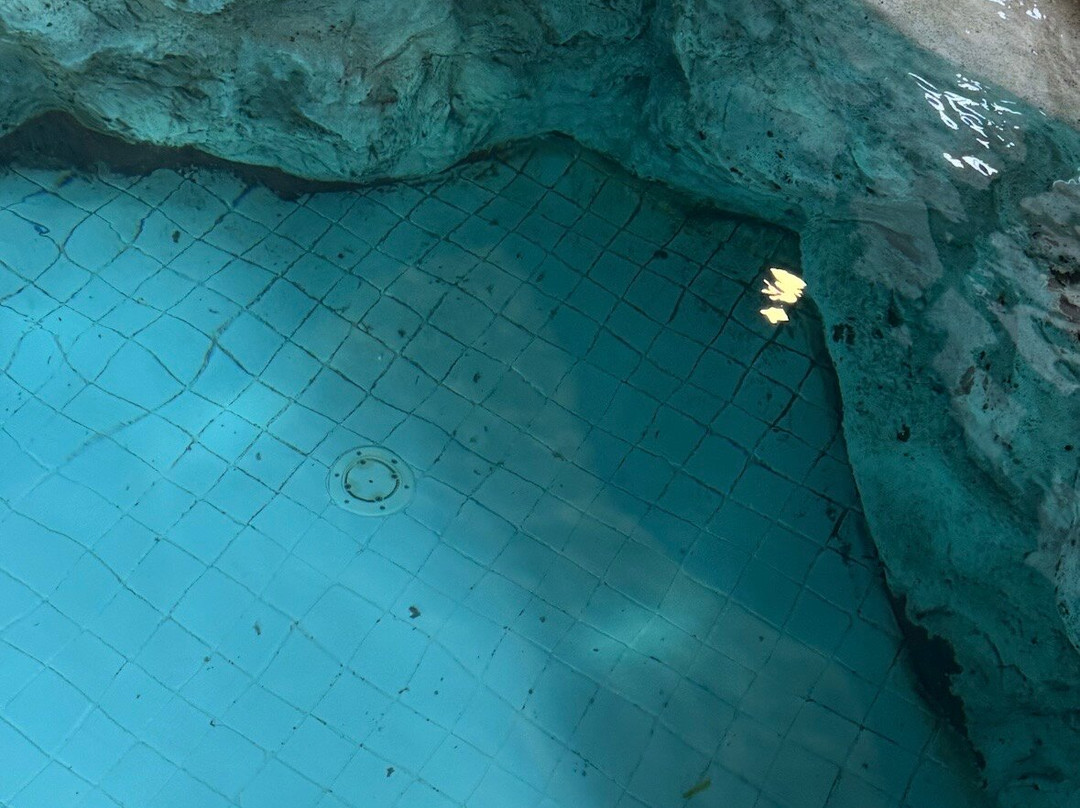 阿根塔略泻湖度假村及水疗中心主图