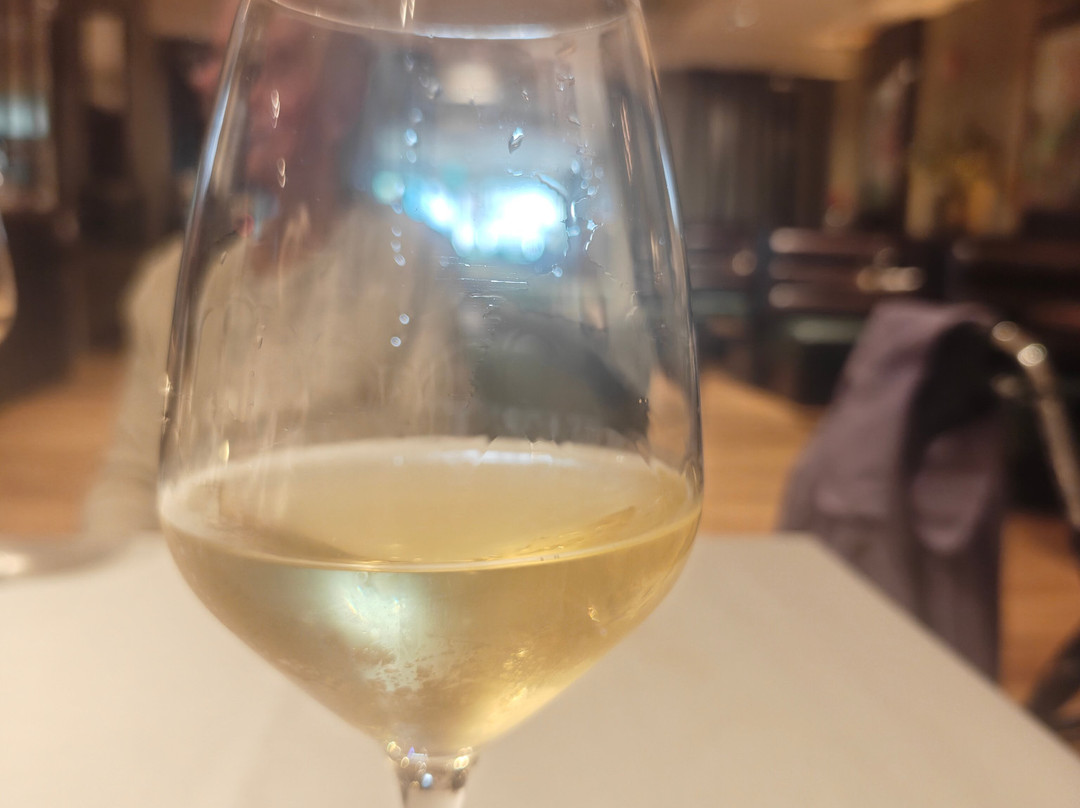 曼多雷酒店和会议中心主图