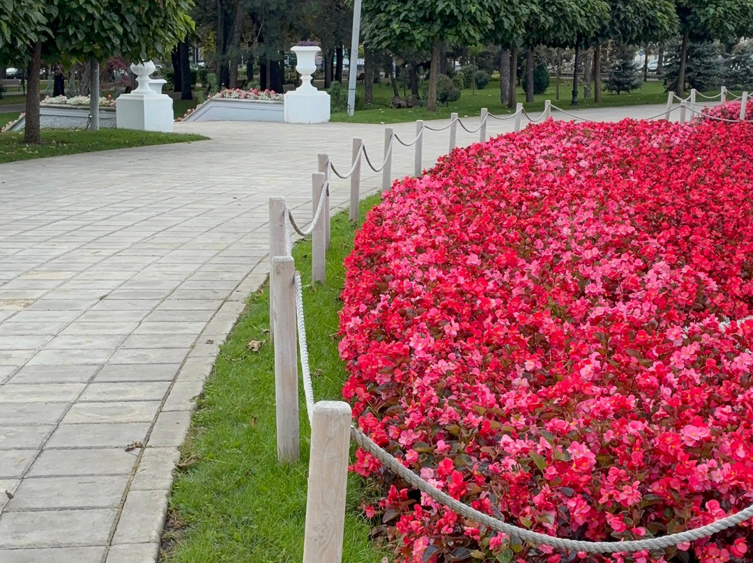 Parcul Catedralei-基希讷乌必去景点