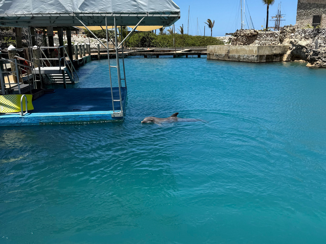 Ocean World Adventure Park, Puerto Plata-普拉塔港必去景点