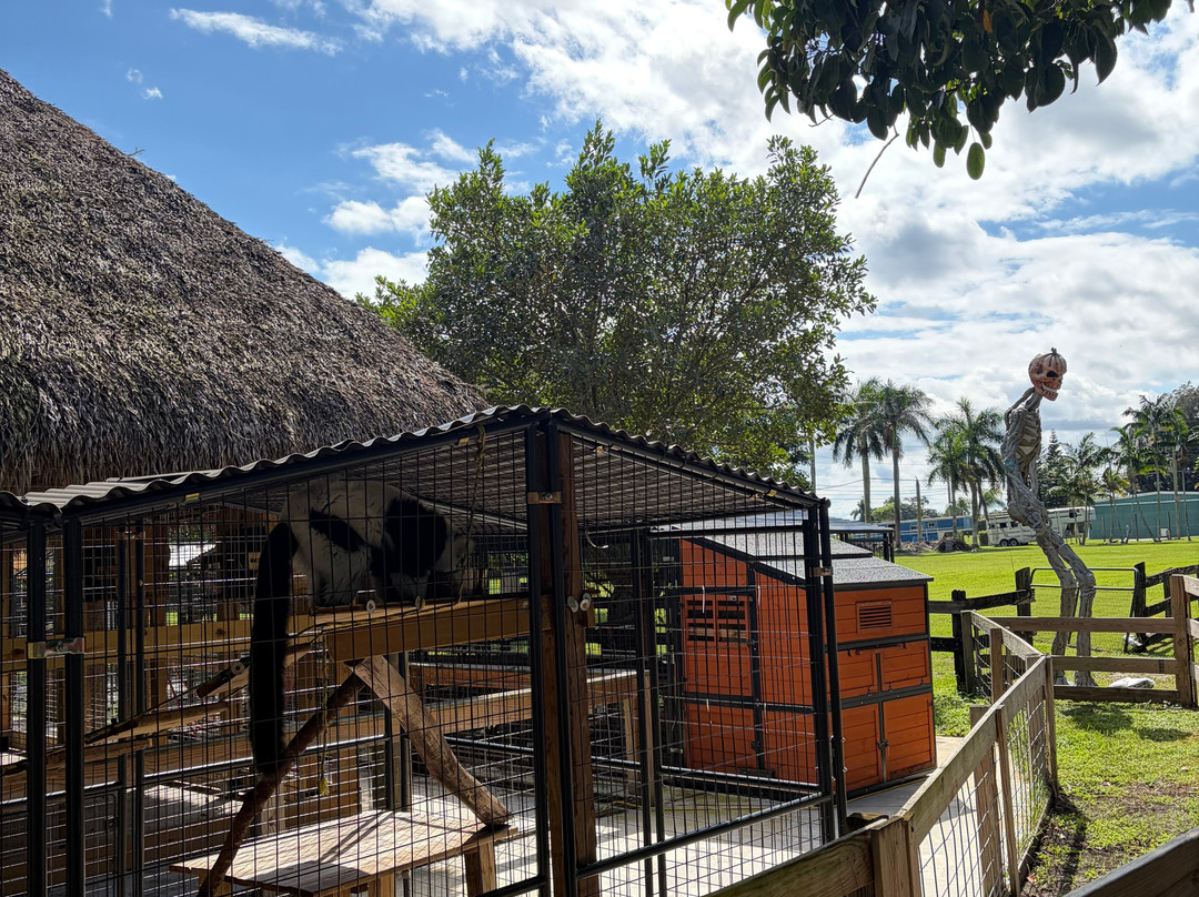 Animal Edventure Park-博因顿海滩必去景点