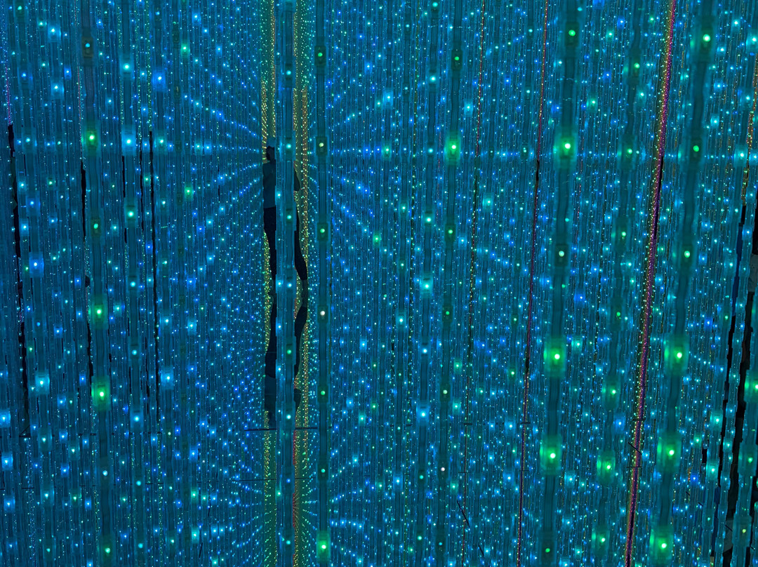 teamLab Planets TOKYO-Toyosu必去景点