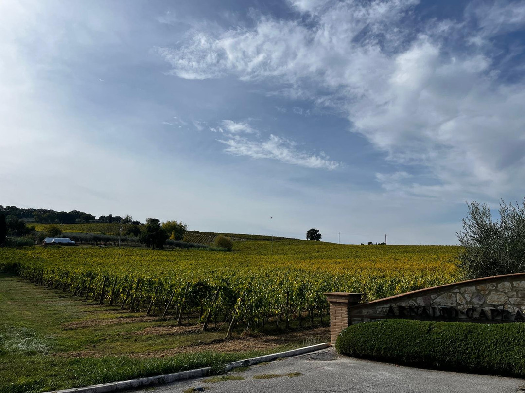 Arnaldo Caprai - Viticoltore in Montefalco-Montefalco必去景点