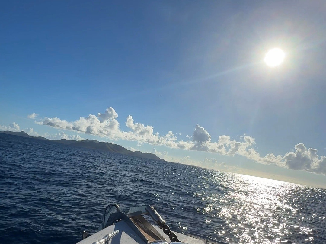 Captain Alan's Boat Charters-Oyster Pond必去景点