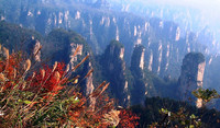 大观台