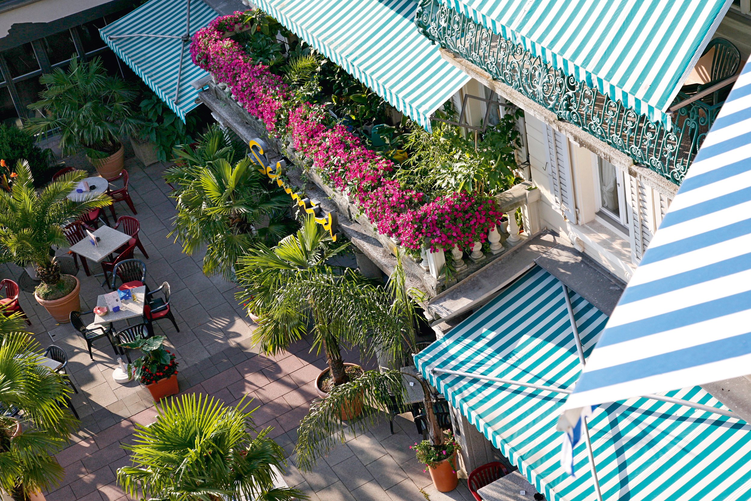 Hotel Schmid & Alfa-官方