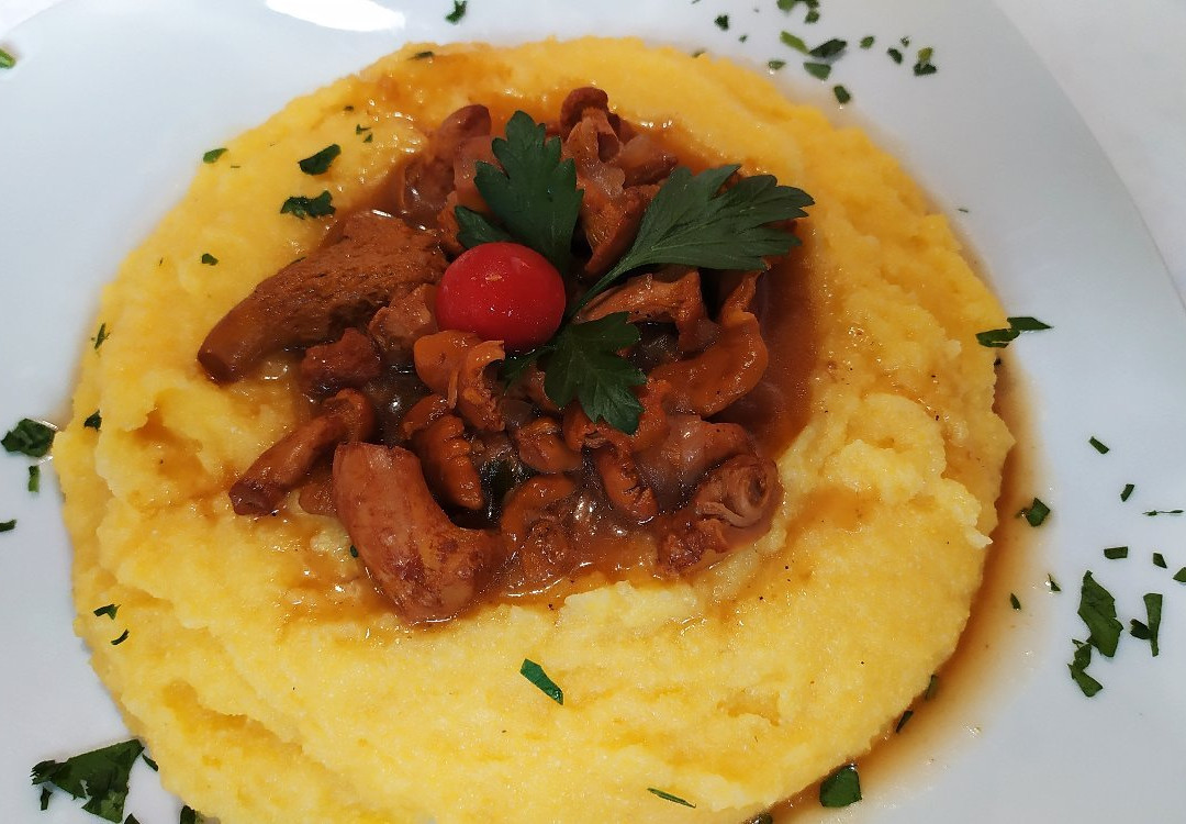 基乌萨酒店住宿-Hotel Sylvanerhof