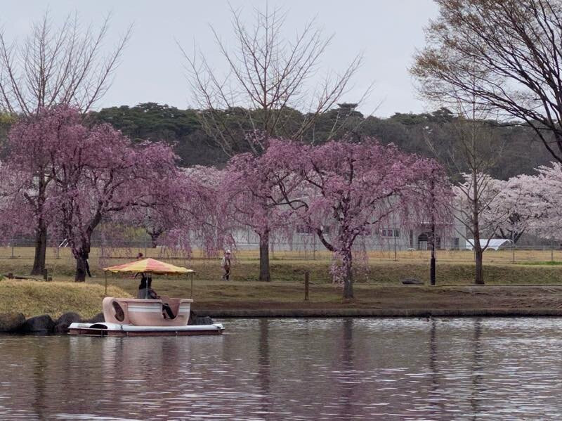 Nakagawa Riverside Park-那须盐原市必去景点