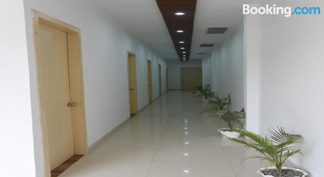 The Palm Tree - Family Stay主图