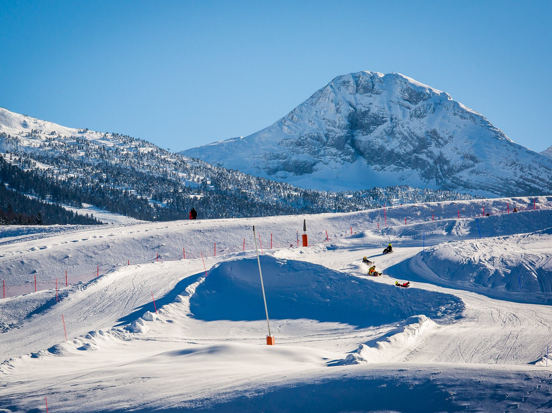 Luge Park de la Colline des Bains景点图片