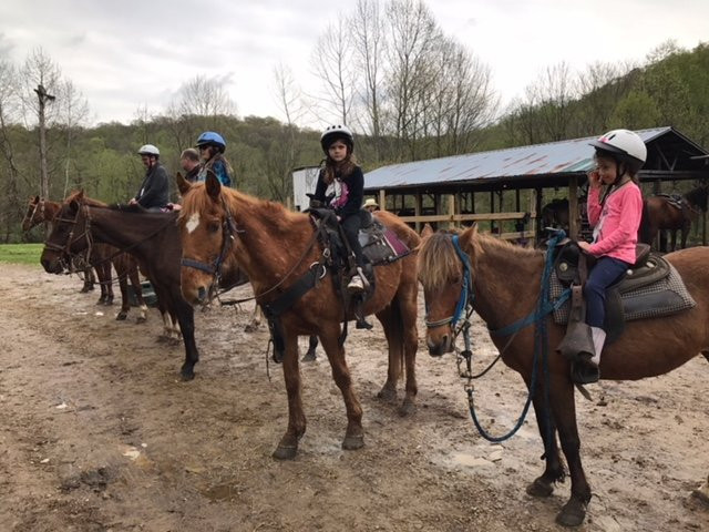 Happy Trails Horseback Riding景点图片