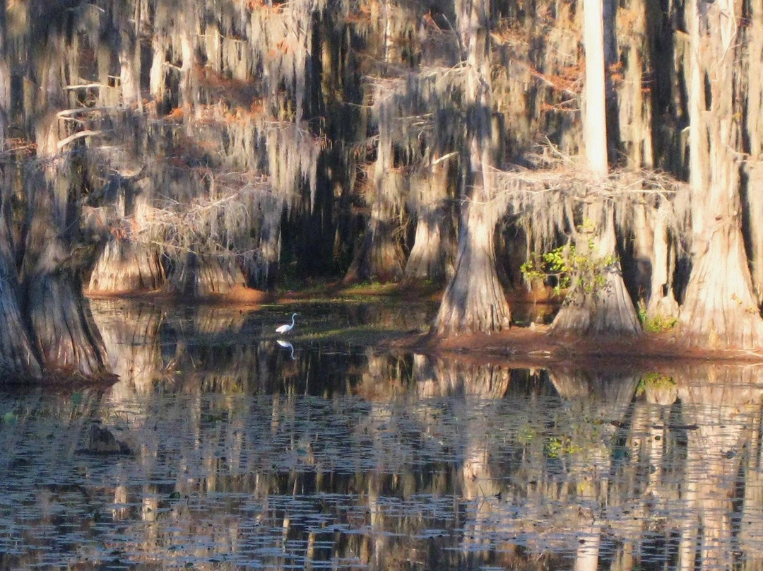 Caddo Lake State Park