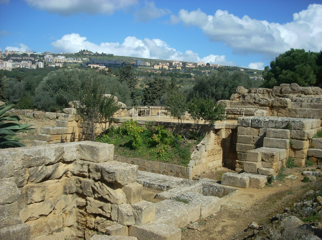 Tempio di Giove Olimpico景点图片