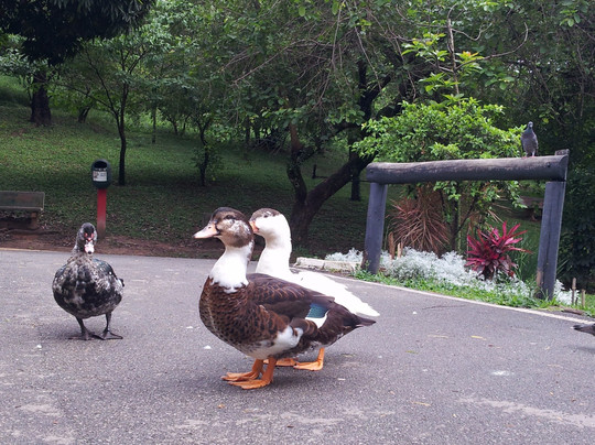 Parque Dionisio Alvares Mateos