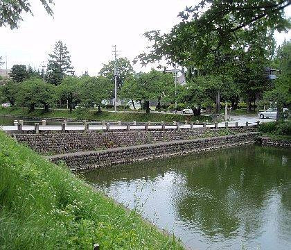 Shinjo Castle Ruins景点图片