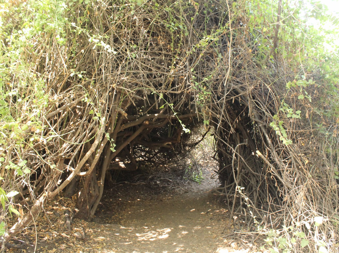 Reserva Ecologica Chaparri景点图片