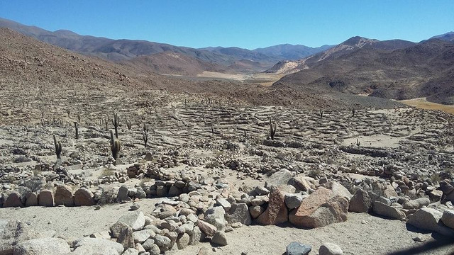 San Antonio de los Cobres旅游景点-Ruins of Tastil