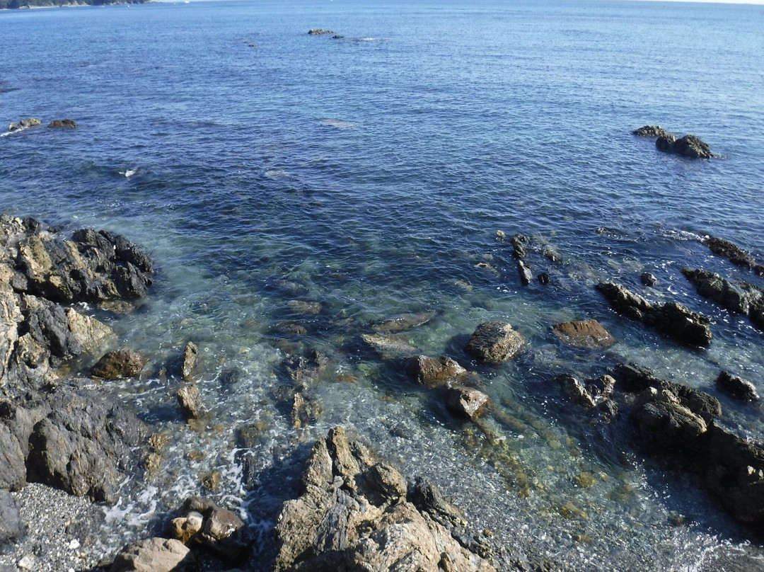 Arashima Beach景点图片