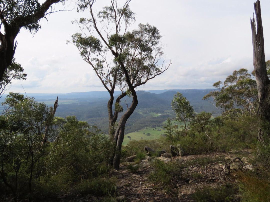 Mount Blackheath Lookout景点图片