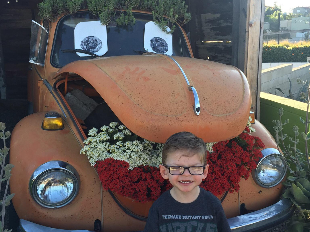 Weidner's Gardens-恩西尼塔斯必去景点