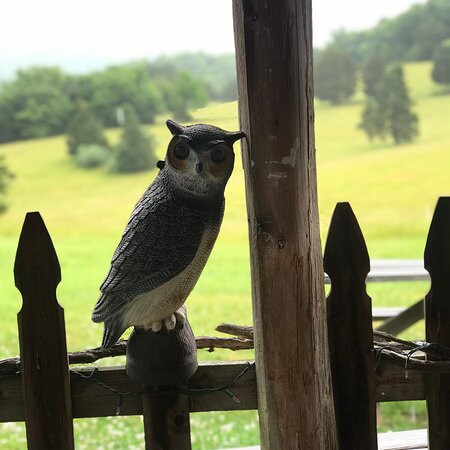 Blue Ridge Vineyard-Eagle Rock必去景点