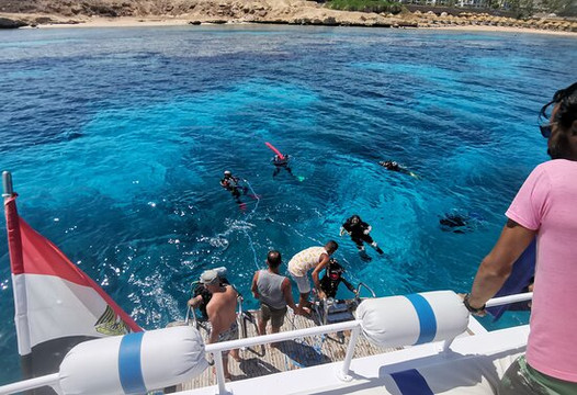 Dive Wiz Sam-沙姆沙伊赫必去景点