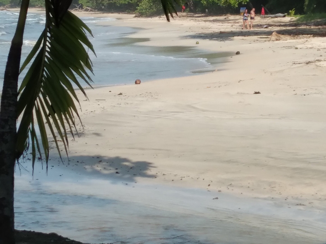 Costa Rica Fruits And Birds景点图片