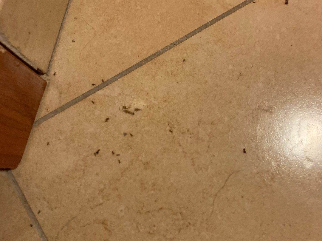 Hotel Ristorante Villa Maria