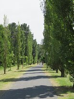 Murray to the Mountains Rail Trail-布赖特必去景点