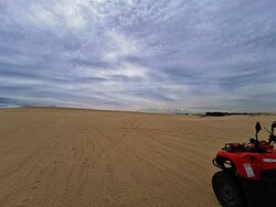 Sand Dune Adventures - Tours景点图片