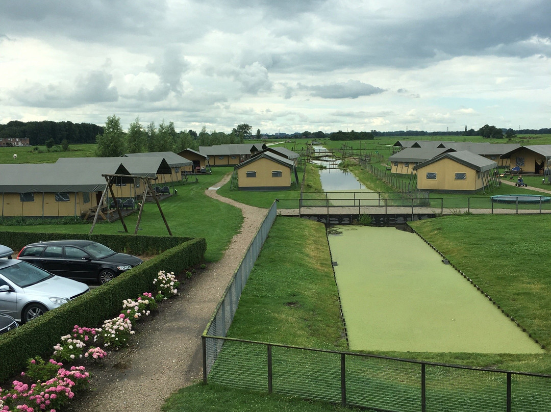 FarmCamps Stolkse Weide