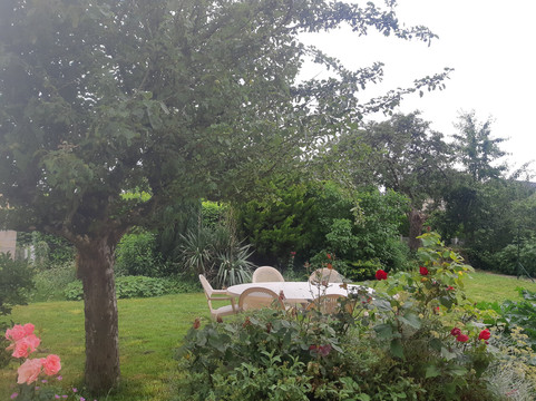 Les contines