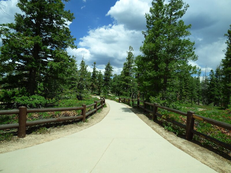 Bristlecone Loop-布莱斯峡谷国家公园必去景点