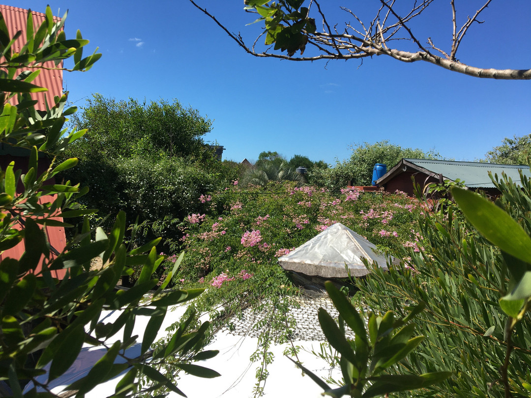 El Jardin Volador