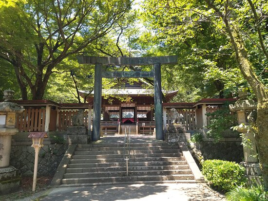 Kanegasakigu Shrine景点图片