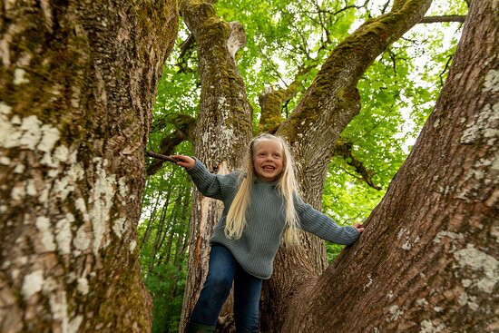 The Lodge At St. Edward Park主图