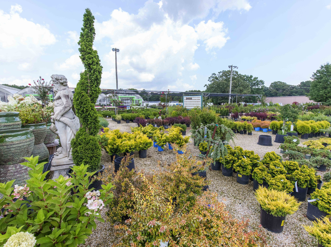 Bob's Garden Center-蛋港镇必去景点