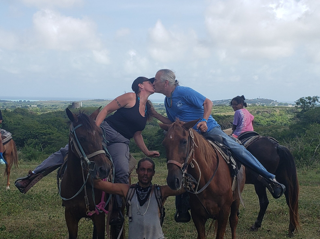 Nick's Scenic Equine Tours-Kingshill必去景点