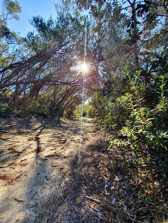 North Head Sanctuary-曼利议会必去景点