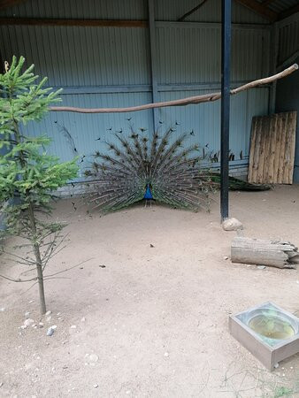 Eco Park Zoograd景点图片