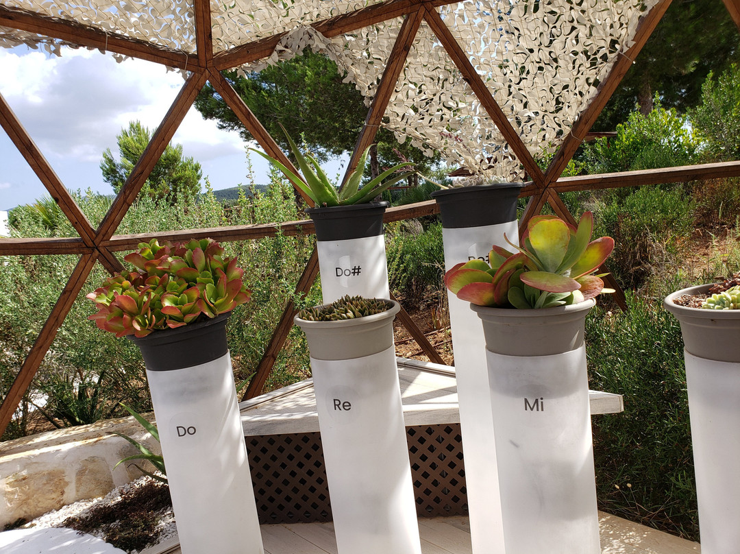 Ibiza Botánico Biotecnológico景点图片