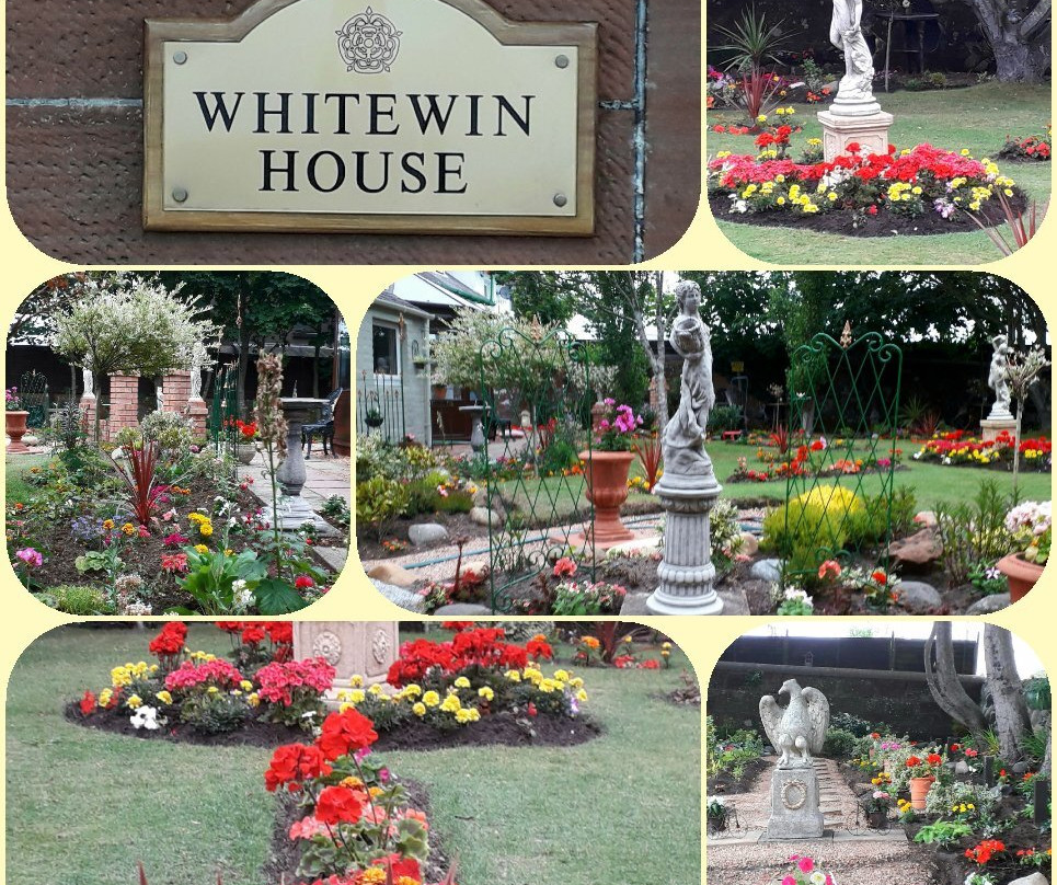 Whitewin House景点图片