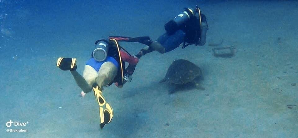 Private Scuba & Snorkeling-Palm Springs必去景点