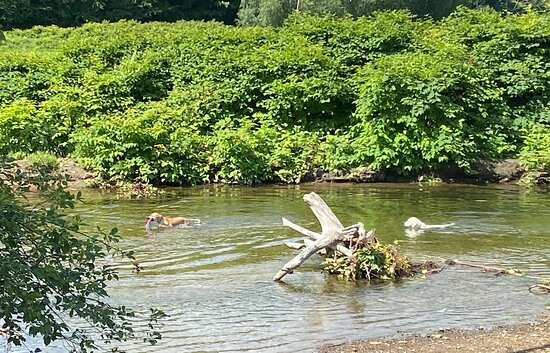 Stowe Recreation Path-斯托必去景点